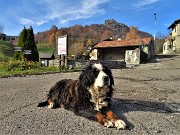 15 La sentinella guardiana di Reggetto in servizio da tanti anni